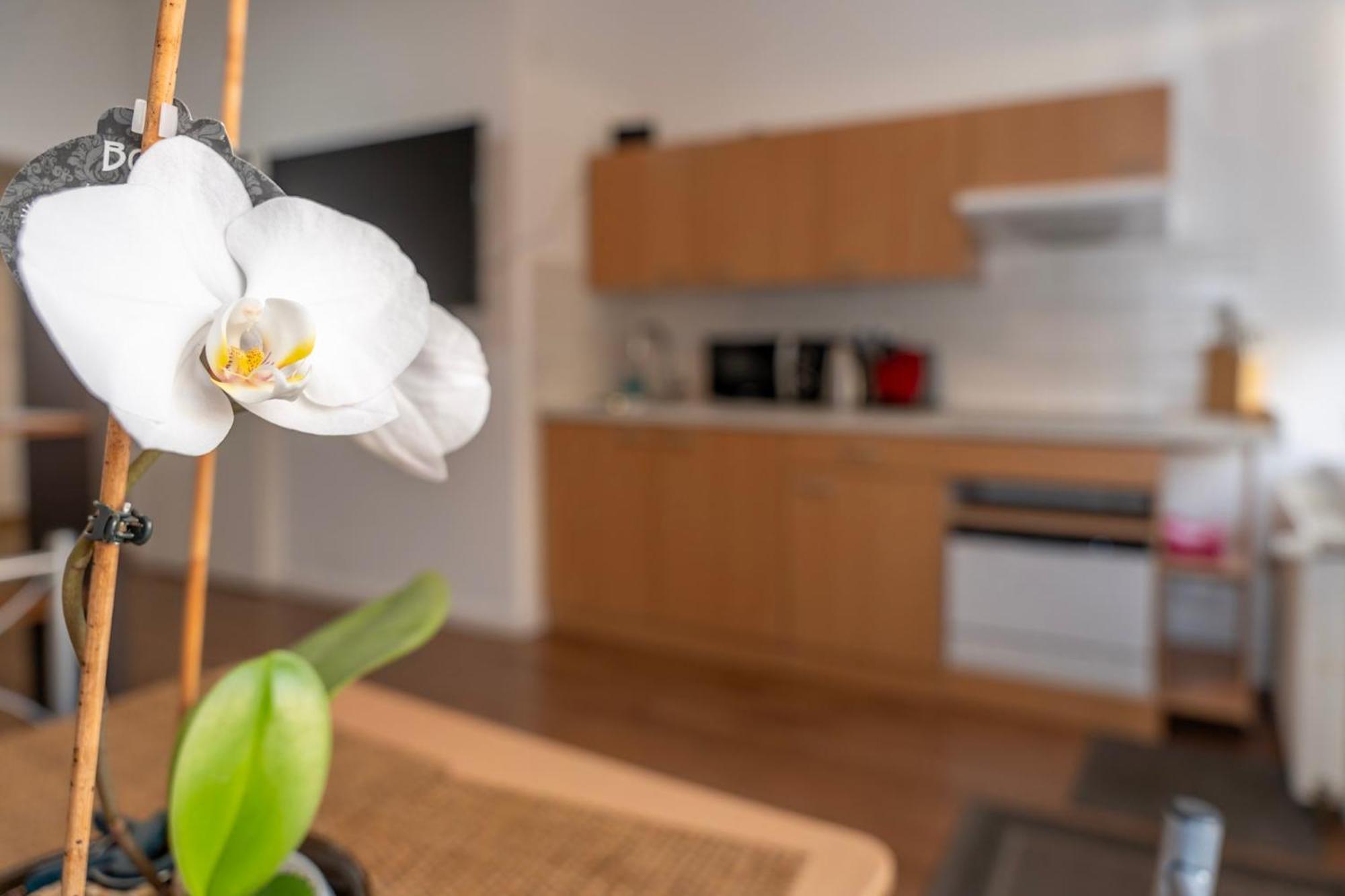 Cosy Nest - Apartment By Comfort Housing Falkensee Esterno foto